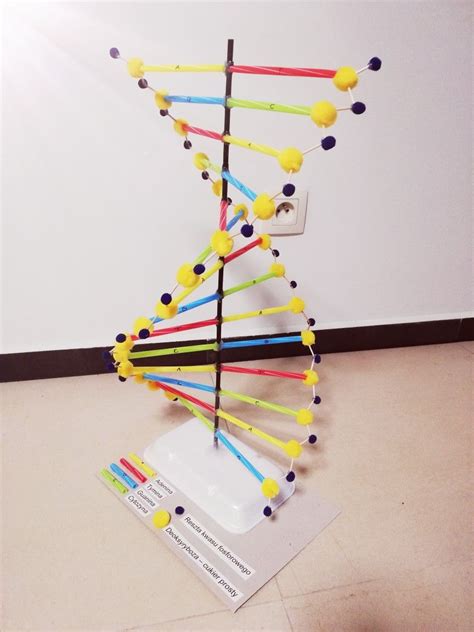 3d model of dna replication.